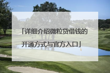 详细介绍微粒贷借钱的开通方式与官方入口